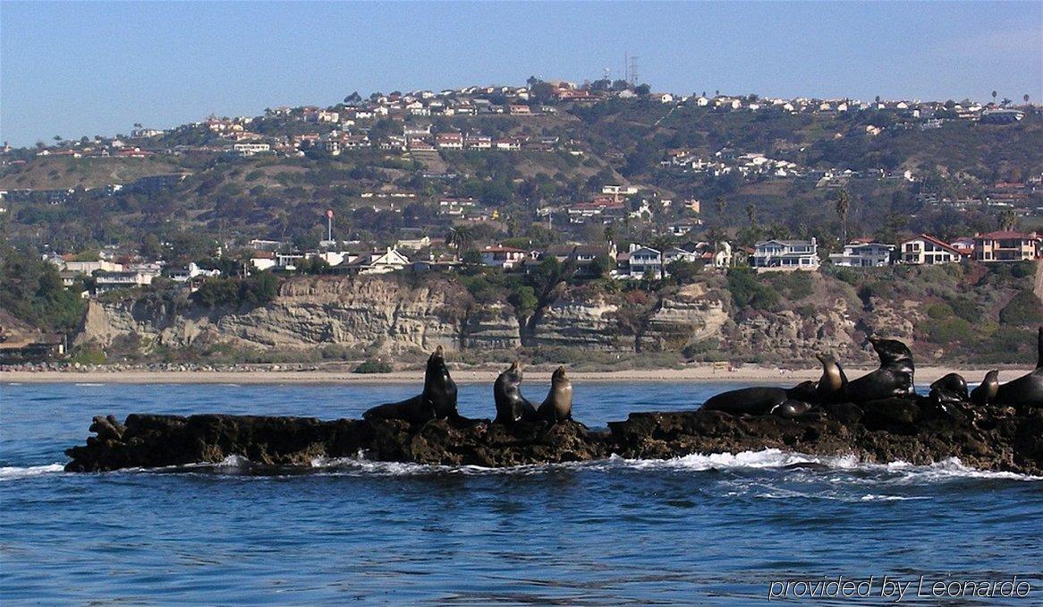 Holiday Inn Express San Clemente N - Beach Area By Ihg Bagian luar foto